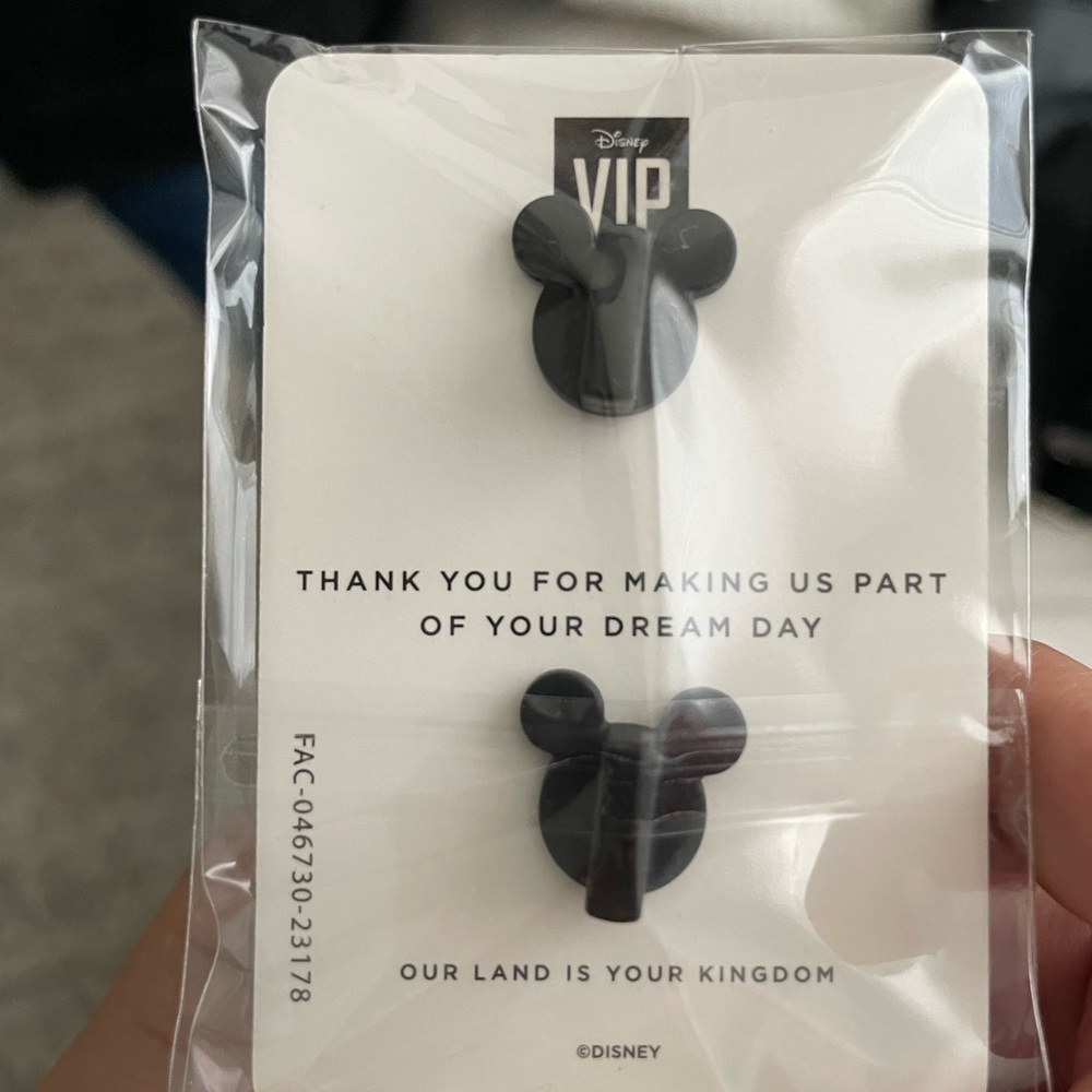 VIP Disneyland Tour Pin - Picture 2 of 2